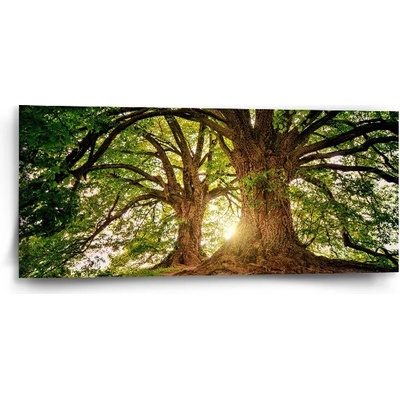 Sablio Obraz Stromy - 110x50 cm