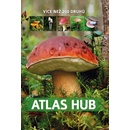 Atlas hub