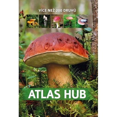 Atlas hub