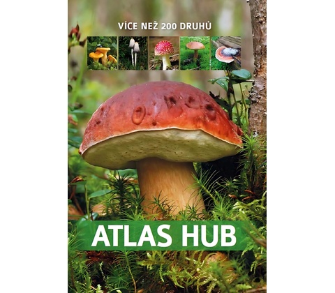 Atlas hub