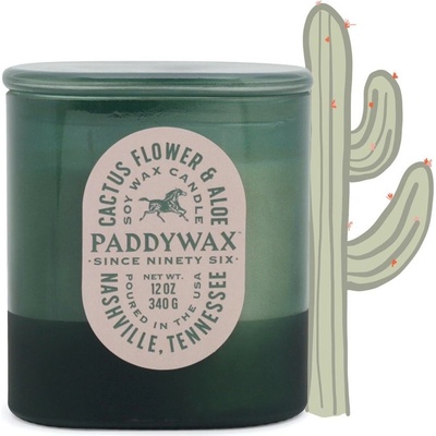 Paddywax Vista Cactus Flower & Aloe 340 g