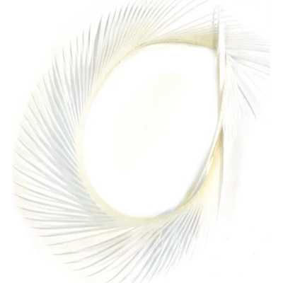 Veniard Husí Biots Goose Biot Strips Bleached White