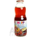 HiPP ŠŤÁVA BIO Šípkový čaj ovocná šťáva 500ml