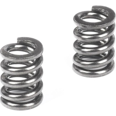 RGT Pružina kluzné spojky 2 ks