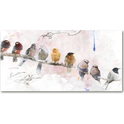 Fotoobraz na skle Vtáky na vetve 100x50 cm