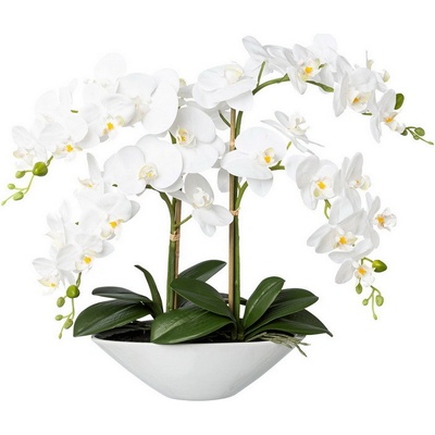 Orchidea bielá v miske, 53cm