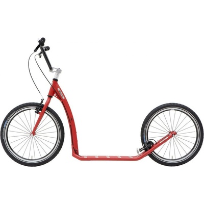 Kostka Twenty Max G6