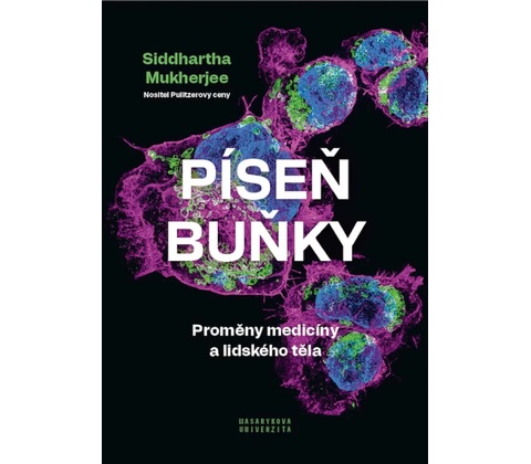 Píseň buňky