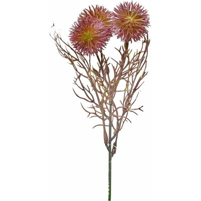ZÁPICH BODLIAK RUŽOVÁ 24cm