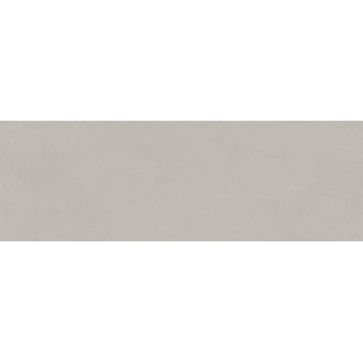 EBS Chromatic 33,3 x 100 cm silver matný 2m²