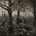 Adrestia - Requiem LP