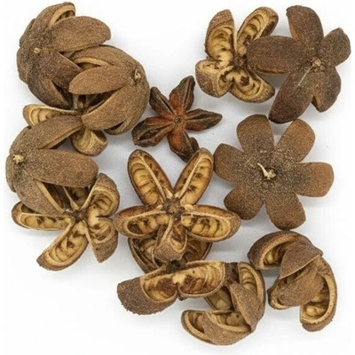 2631 Kartush 5-7cm natur 12ks