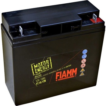 FIAMM FT19-12B
