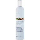Milk Shake Normalizing Blend Shampoo normalizační šampon pro mastné vlasy 300 ml