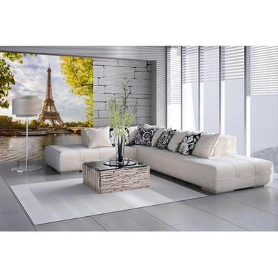 DIMEX ART Флизелинов фототапет сена срещу париж 225 x 250 см