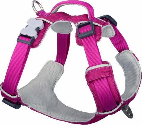 Red Dingo postroj Sport
