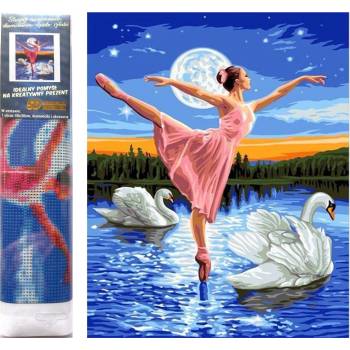 Norimpex - Puzzle Diamond Painting Baletka medzi labuťami 30x40cm - 1 - 39 piese