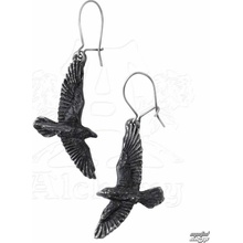 Alchemy Gothic Náušnice Black Raven E333