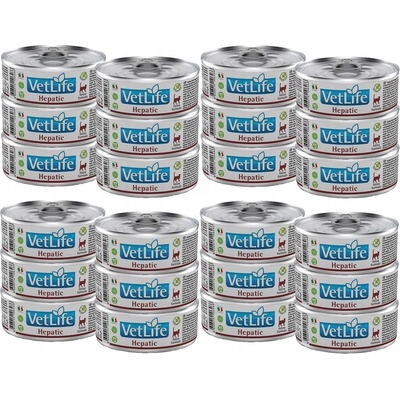 Vet Life Cat Hepatic 24 x 85 g