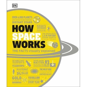 How Space Works | DK (ISBN: 9780241446324)