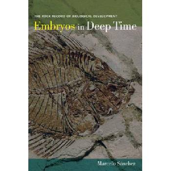 Embryos in Deep Time | Marcelo Sanchez