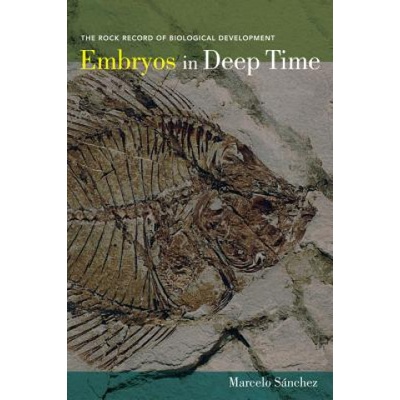 Embryos in Deep Time | Marcelo Sanchez