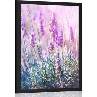 Plakát kouzelné květiny levandule - 40x60 black