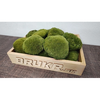 Stabilizovaný mach – Kopčekový - Ball moss - nature green 10ks
