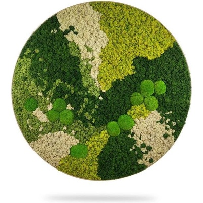 Machový obraz kruh ORTHO SPRING, priemer 40cm, dubový rám
