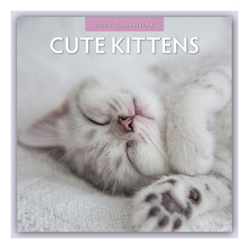 Cute Kittens Niedliche Kätzchen 16-Monats 2024