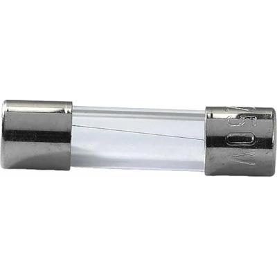 Pojistka trubičková skleněná, pomalá, T 5x20mm 10 A