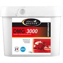 Horse Master DMG 3000 1,3 kg