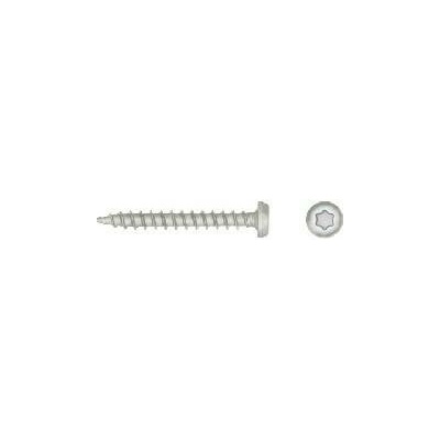 RawlPlug šrouby R-WW-50T55 (200 ks)