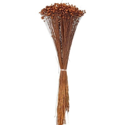 Glixia 50g, HNEDÁ/zv