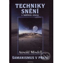 Techniky snění