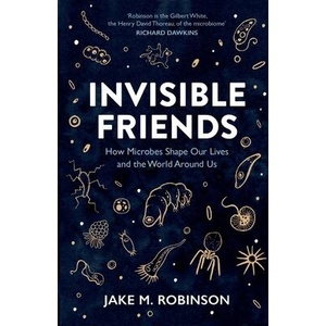 Invisible Friends | Jake Robinson (ISBN: 9781784275686)
