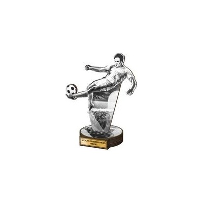 Poháry Bauer Dřevěná plaketa RWR108 Fotbal