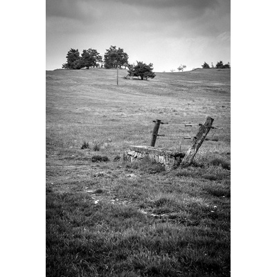 Fotografie - Pastviny pri kláštore