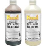 FERRO OSMOSIS NFT / AERO BLOOM A&B - тор за цъфтеж (в NFT / аеро, за осмозна вода) (51062y)