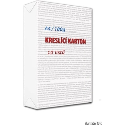 Kreslicí karton A4 180 g 10 ks – Hledejceny.cz