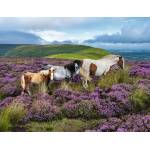 Ravensburger - Puzzle Wild Horses in the Heather - 2 000 piese