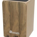Dimavery CJ-520