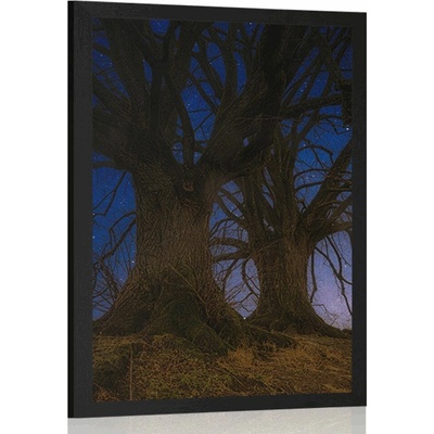 Plakát stromy v noční krajině - 40x60 no frame