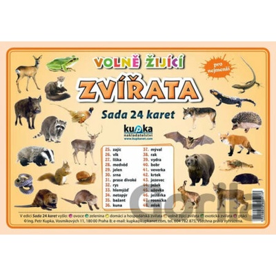 Kupka Volně žijící zvířata