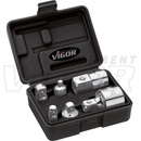 VIGOR V1293