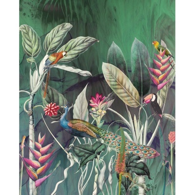 Komar Vliesová fototapeta Jungle Chat rozměry 200 x 250 cm