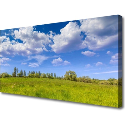 Obraz Canvas Lúka tráva nebo krajina 100x50 cm
