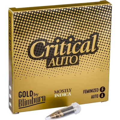 Blimburn Seeds Critical AUTO semienka neobsahujú THC 9 ks