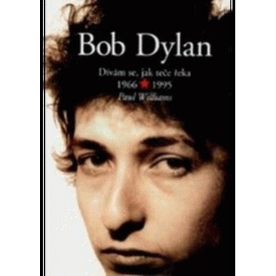Bob Dylan - Dívám se, jak teče řeka 1966-1995 - Donna Williams