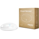 Fibaro FGFS-101
